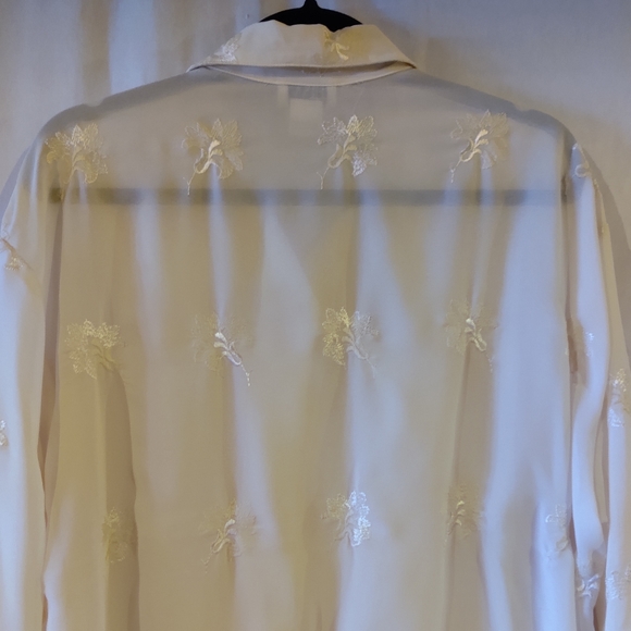 HW New York Women's Cream Sheer Dressy Button Down Blouse Size L - Picture 6 of 12
